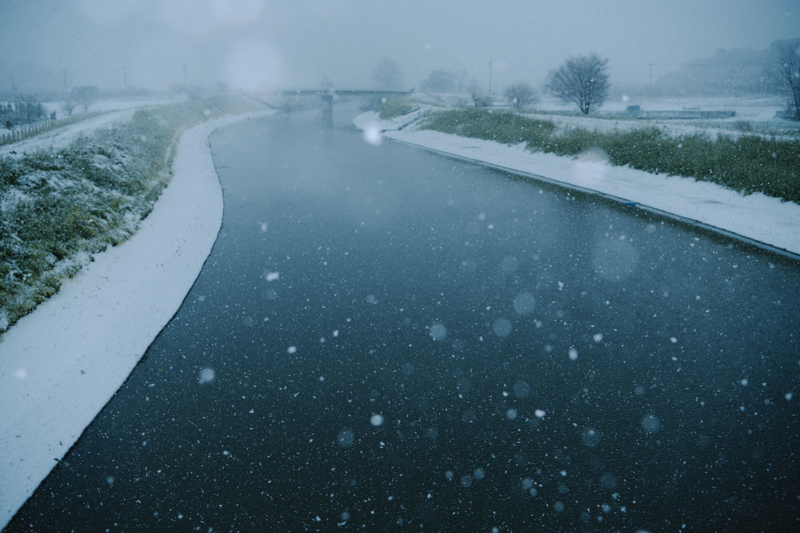 季節外れの雪が舞い散る見沼田んぼの芝川と雪化粧した周辺の緑地