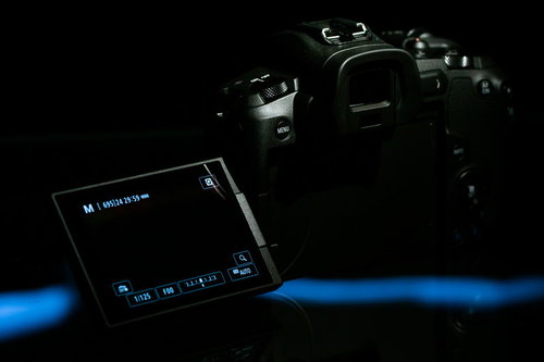 ミラーレス一眼レフのバリアングル液晶モニター（CANON EOS R）