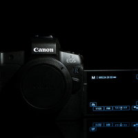 EOS Rのバリアングル液晶の写真