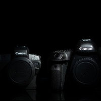 ミラーレスカメラと一眼レフカメラ（フルサイズ機）の比較の写真