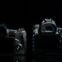 CANON EOS Rと5D MarkⅣの背面比較の写真