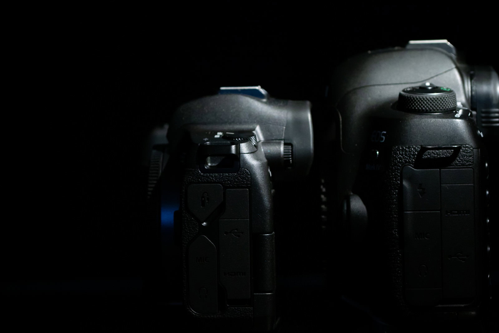 CANON EOS Rと5D MarkⅣの右側面を並べて比較したカメラの写真
