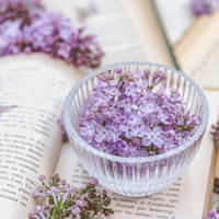 洋書の上に置かれた透明なガラス器に盛ったライラックの花の写真