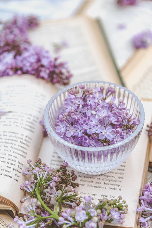 洋書の上に置かれた透明なガラス器に盛ったライラックの花