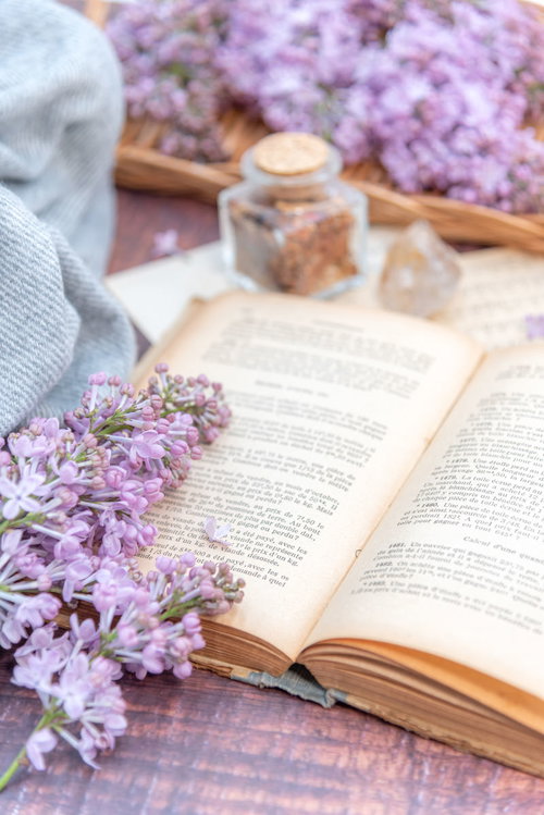 洋書に添えたライラックの生花と読書のスタイリング
