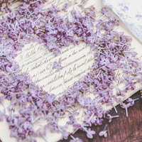 ハートの中心に置いたラッキーライラックと手紙の写真
