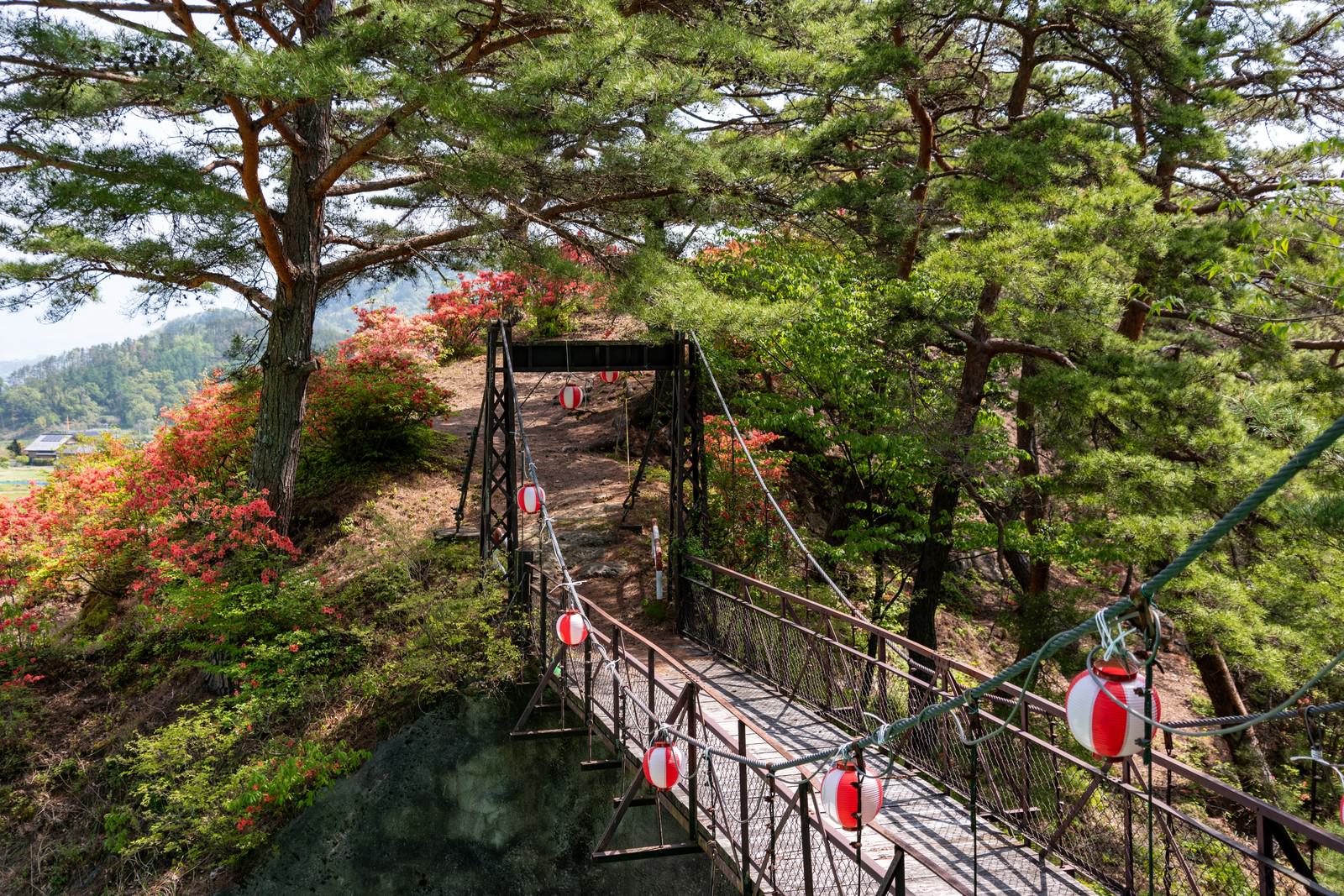 武石公園の吊橋とその先に咲くピンクのツツジの風景