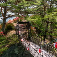 武石公園の吊橋から眺める春のツツジと緑の景観の写真
