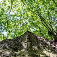 木漏れ日の中のお地蔵（武石公園）の写真