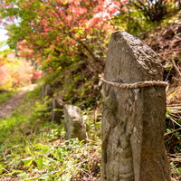 武石公園の春、色とりどりのツツジと道端の石像の写真