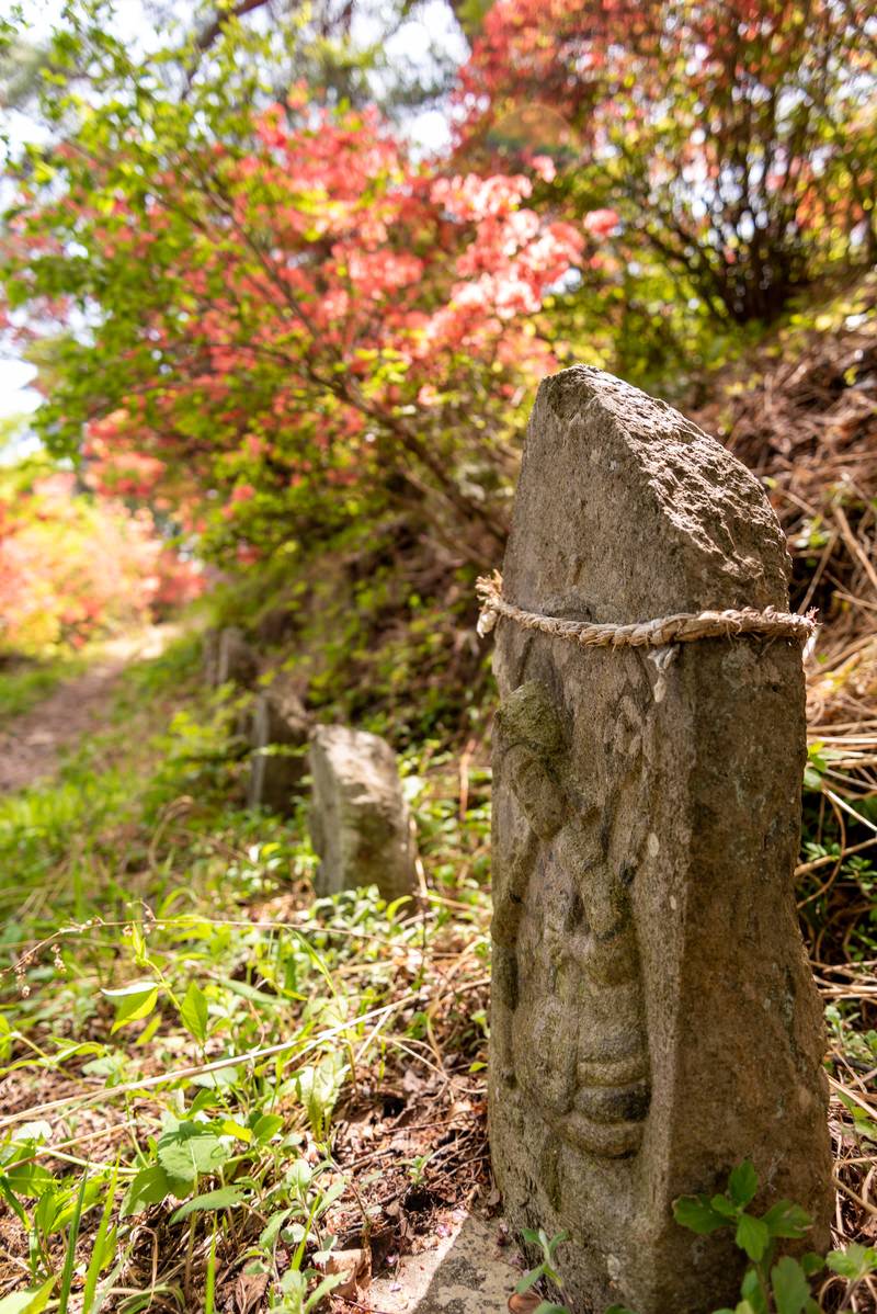 武石公園で色とりどりのツツジの花が咲く中、注連縄が巻かれた石像が道端に佇む春の風景