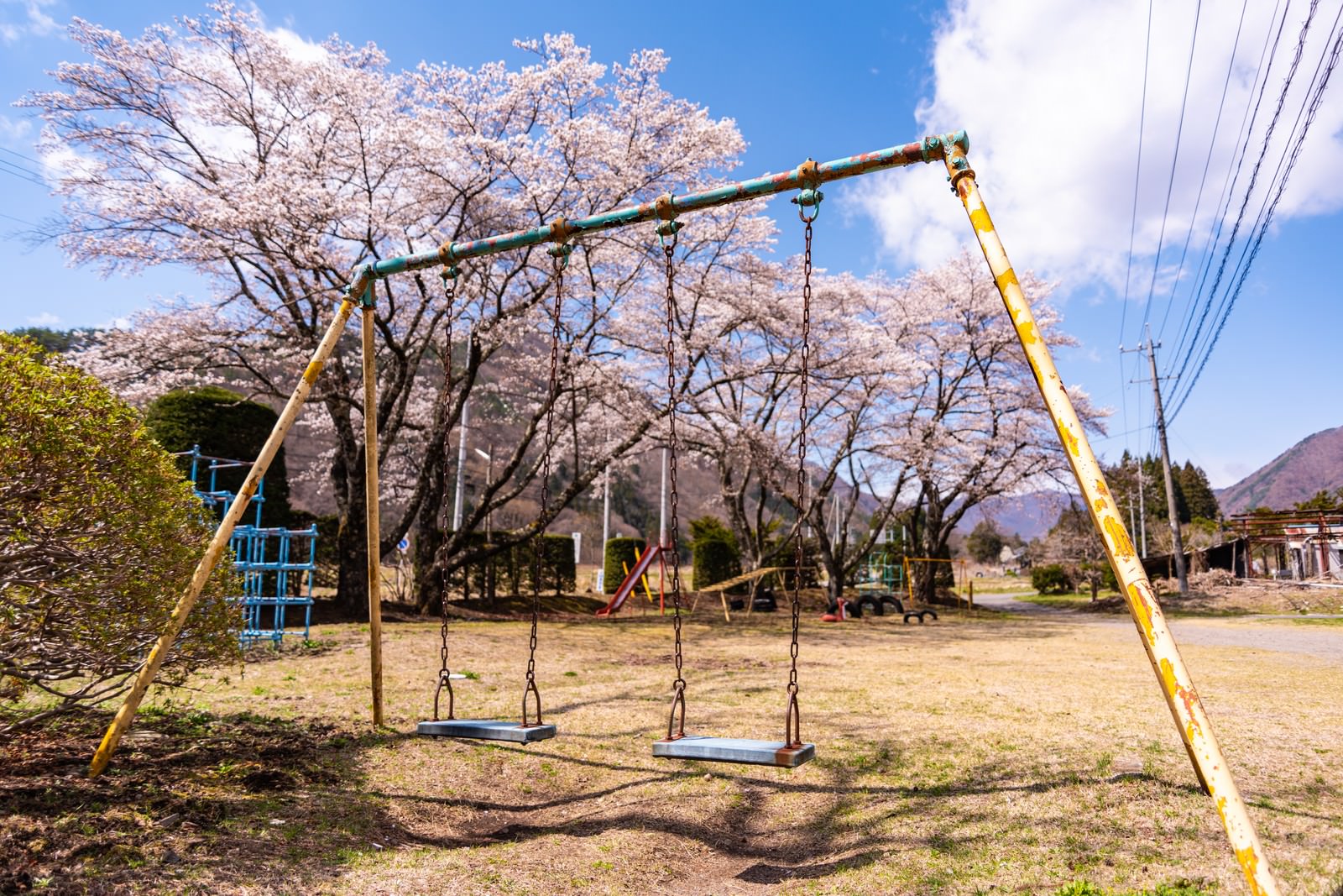 満開の桜の木の下にある黄色いブランコがある児童公園の春の風景