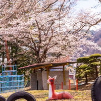 春の児童公園に置かれた桜と鹿の遊具の写真