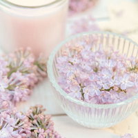 光差す器に浮かぶライラックの花弁、春のテーブルコーディネートの写真