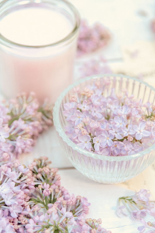 光差す器に浮かぶライラックの花弁、春のテーブルコーディネート