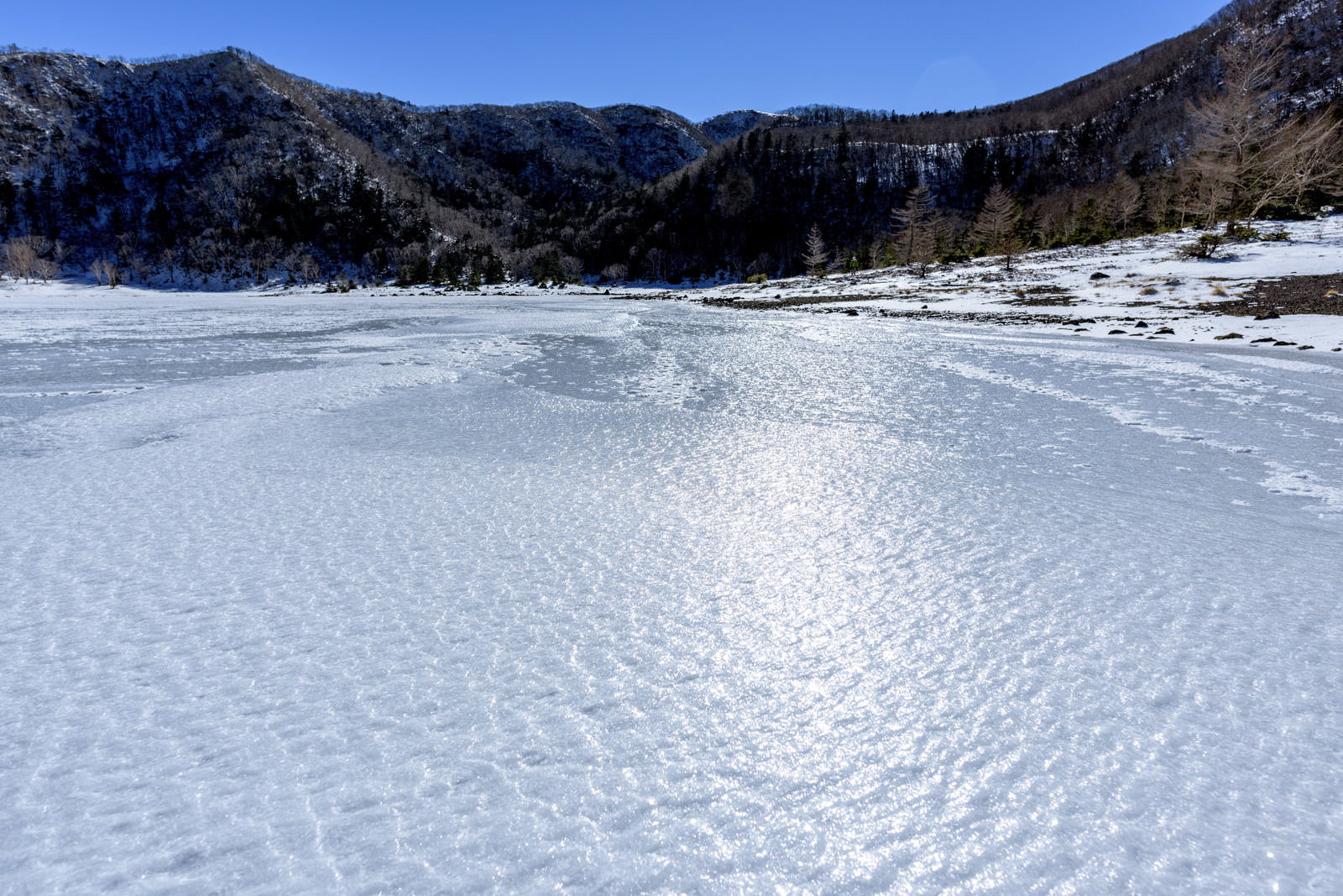 雪に覆われて凍結した五色沼と背景の山並み