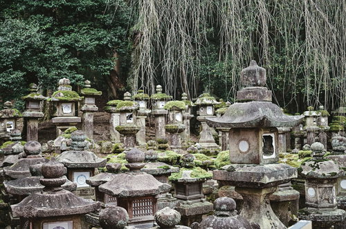 春日大社の参道に並ぶ苔むした石灯篭と緑豊かな景観
