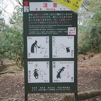 公園のシカに注意する看板、危険行動（かむ・たたく・突く・突進）を表示の写真