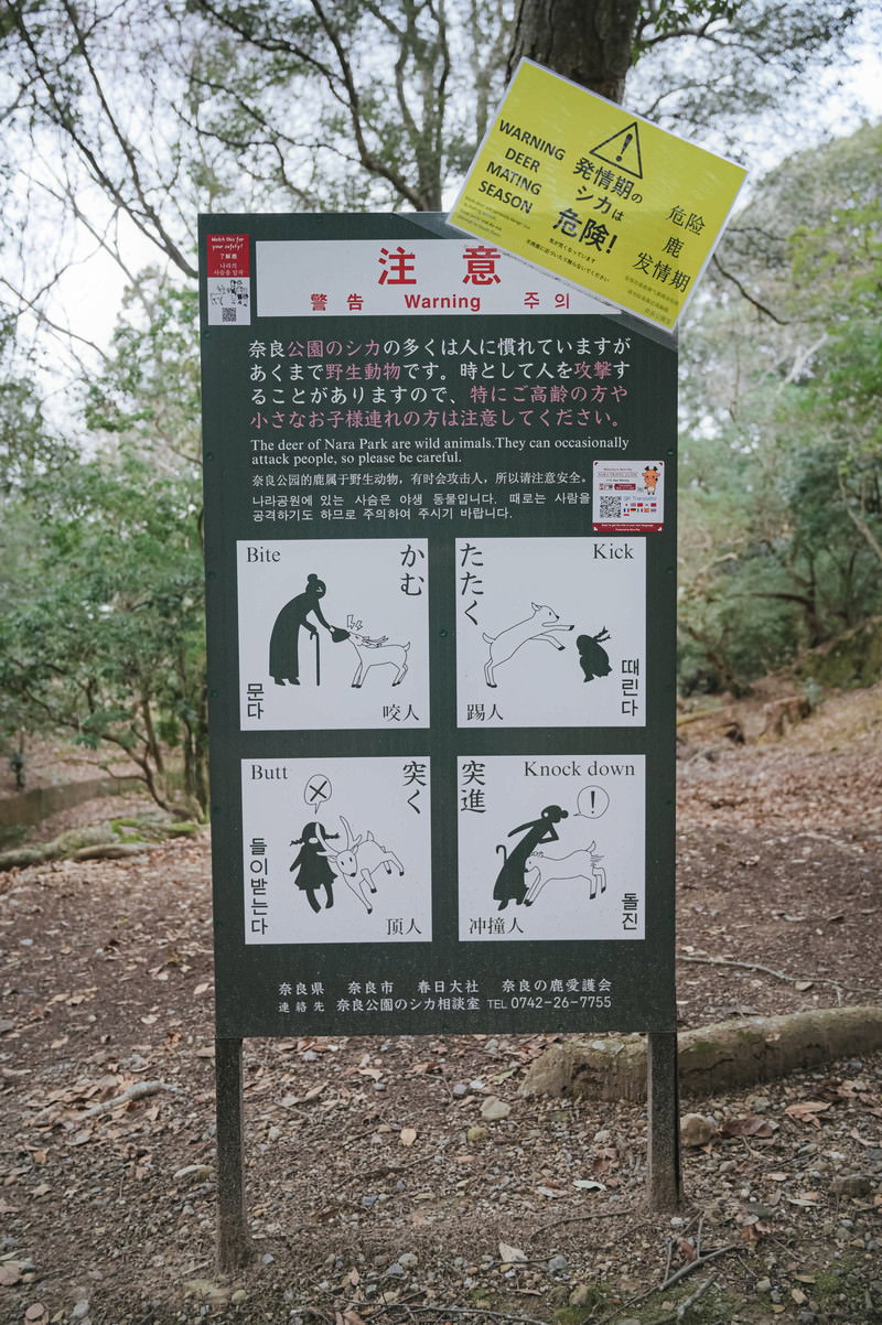 緑色の看板に白文字でシカの危険行動を警告するイラスト付き注意看板