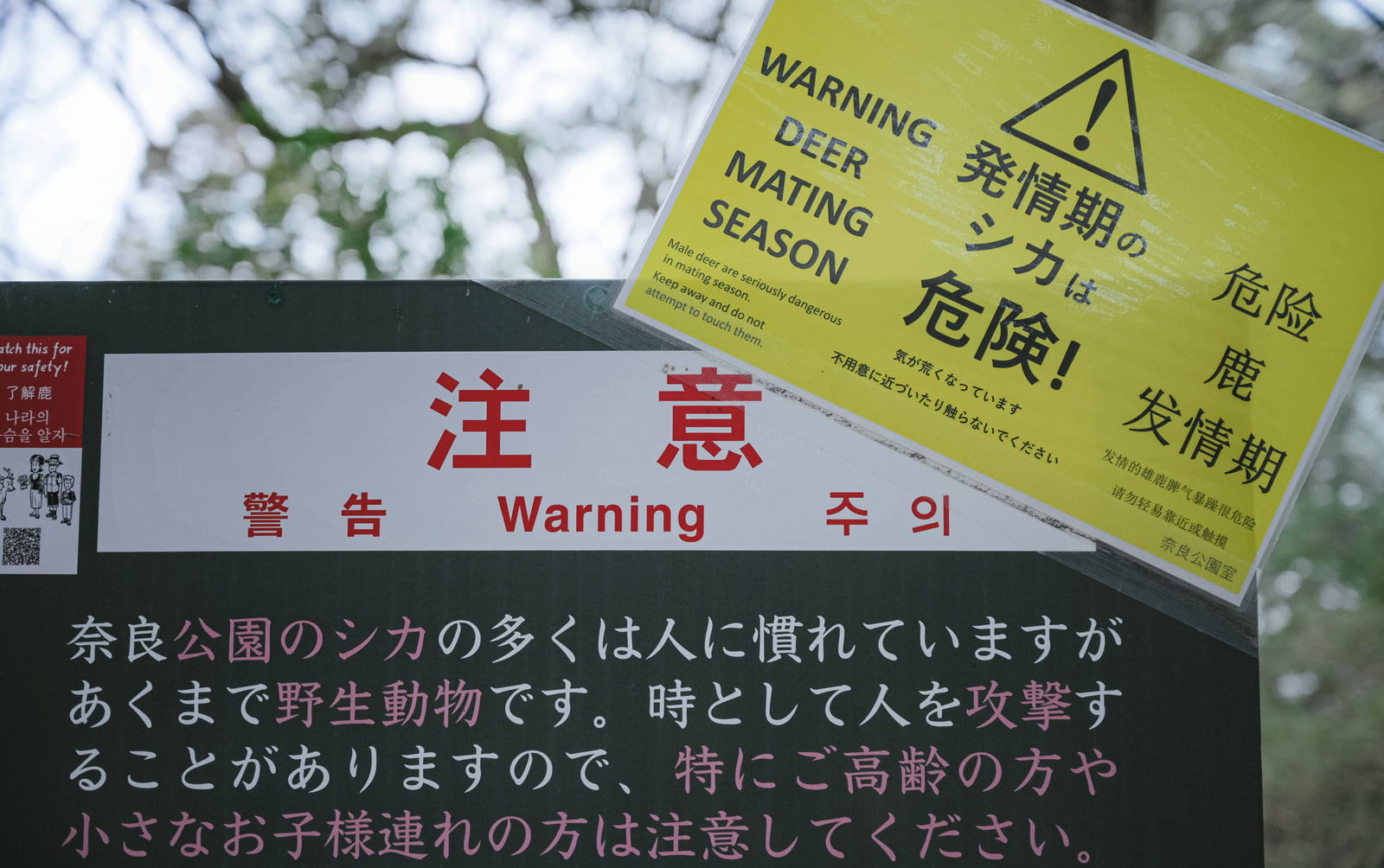 シカへの注意を呼びかける黄色と赤の警告看板