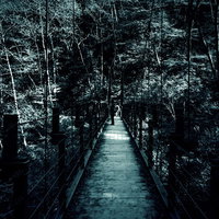 鬱蒼とした森の中の吊橋、薄暗い林道を一直線に伸びる木製手すり付き歩道の写真