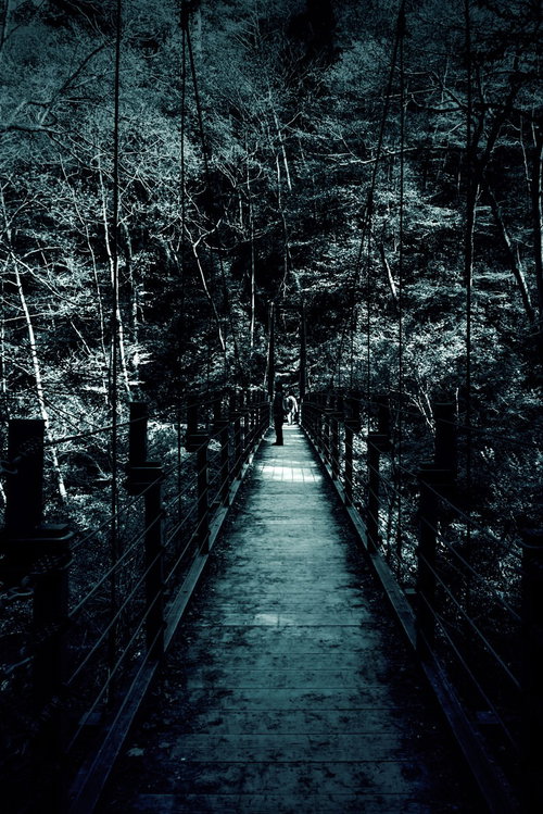 鬱蒼とした森の中の吊橋、薄暗い林道を一直線に伸びる木製手すり付き歩道