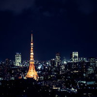 夜間にライトアップされた東京タワーと都心の夜景の写真