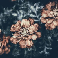 古いフィルムの質感が重ねられた褪せた薔薇の花のアレンジメントの写真