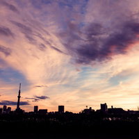 スカイツリーと街並みが夕焼けにシルエットで映る東京の夜景の写真