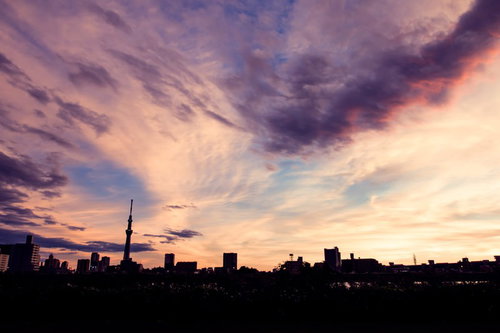 スカイツリーと街並みが夕焼けにシルエットで映る東京の夜景
