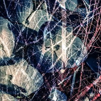 樹流～心理的ストレスと不安が絡み合う複雑な思考の可視化の写真