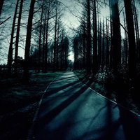 日が落ちた雑木林を真っすぐ伸びる一本道、冬の薄暗い林道の写真