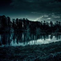 いかにも不気味な池と裸木の森、冬の薄暗い湿地の写真