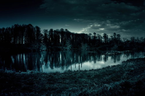 いかにも不気味な池と裸木の森、冬の薄暗い湿地の写真