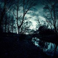 夕暮れ時に立ち並ぶ裸木と静寂の森の河畔風景の写真