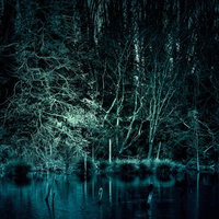 魔物が棲んでいそうな湿地帯の森、立ち枯れが密集した不気味な池の写真