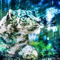 腕組みする作業着姿の中年男性の写真