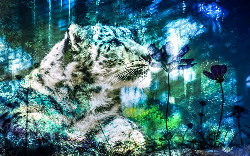 腕組みする作業着姿の中年男性