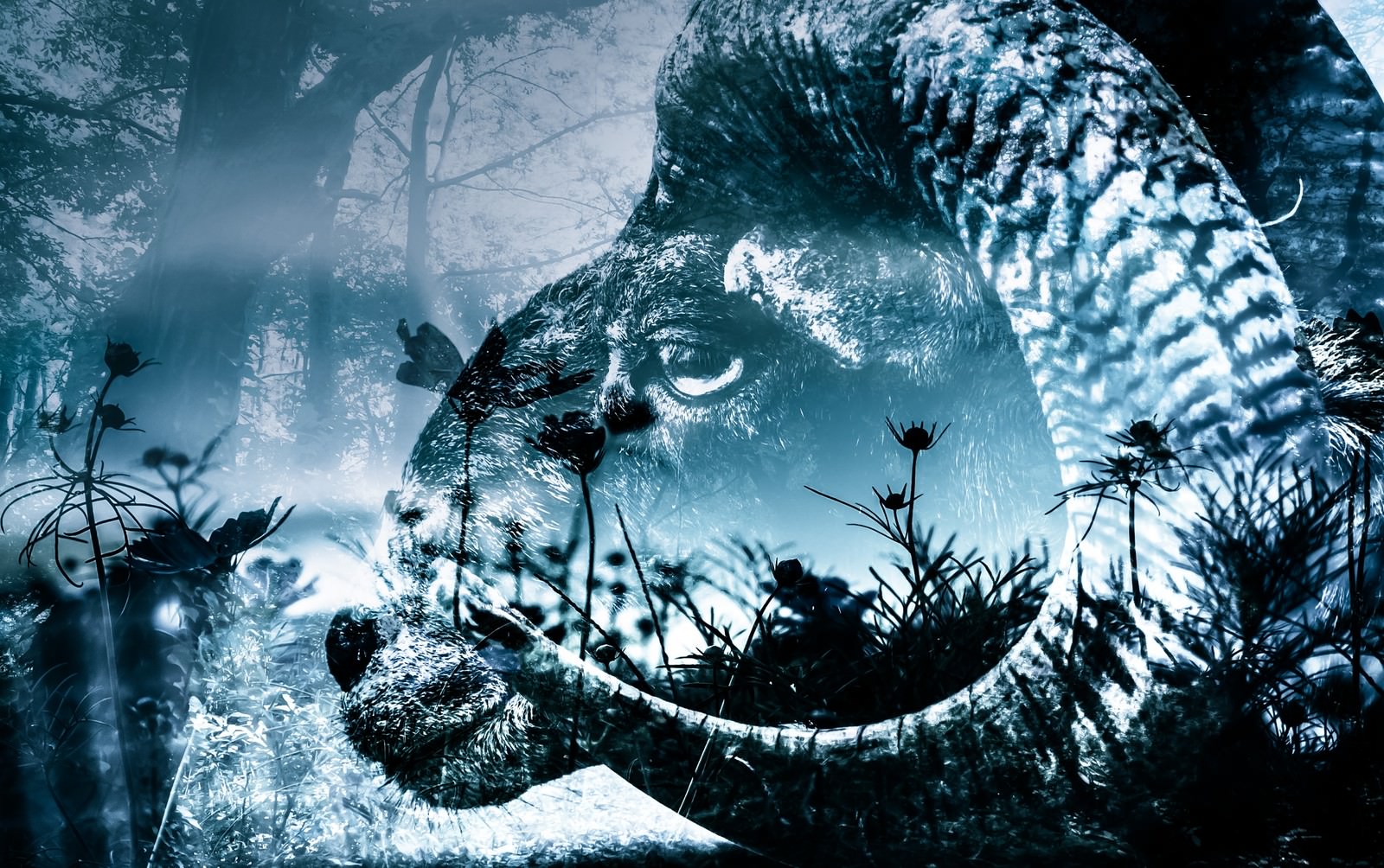 フクロウの顔と霧がかかった森を合成したフォトモンタージュ