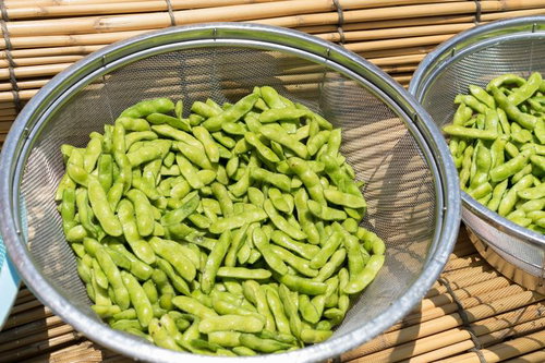 業務用のザルに入った枝豆