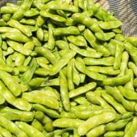 竹製のザルに盛られた収穫したばかりの枝豆の写真