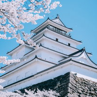 鶴ヶ城の天守閣を背景に満開の桜を眺める観光客の写真