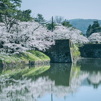水面に映る桜と石垣が織りなす会津若松の春景色の写真
