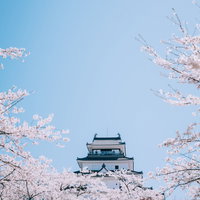 桜並木から顔を出す鶴ヶ城の天守閣と春景色の写真