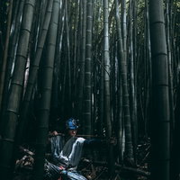 木漏れ日を浴びながら竹林で大弓を引く野盗の写真