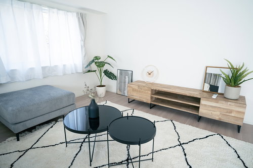 シンプルで広いリビングの家具配置と観葉植物のコーディネート