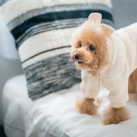 ベッドの上で舌をぺろりと出すトイプードルのドッグウェア姿の写真