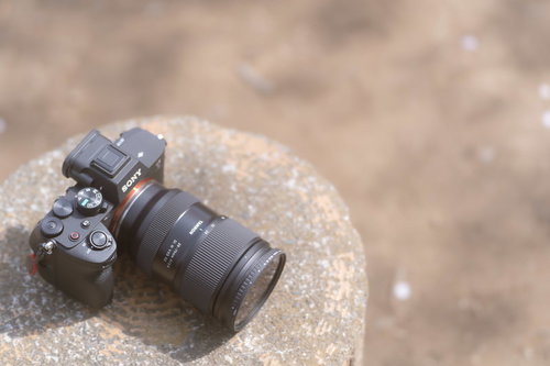 フォトウォークで持参したソニーのミラーレスカメラ