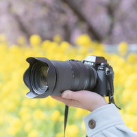 菜の花を背景に手の上に乗せた大口径レンズを装着した一眼カメラの写真