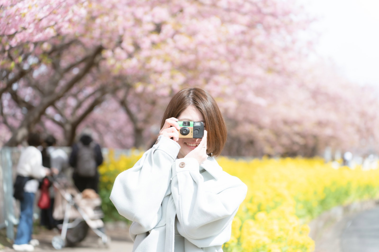 写ルンですを構えて春の桜を撮影する女性